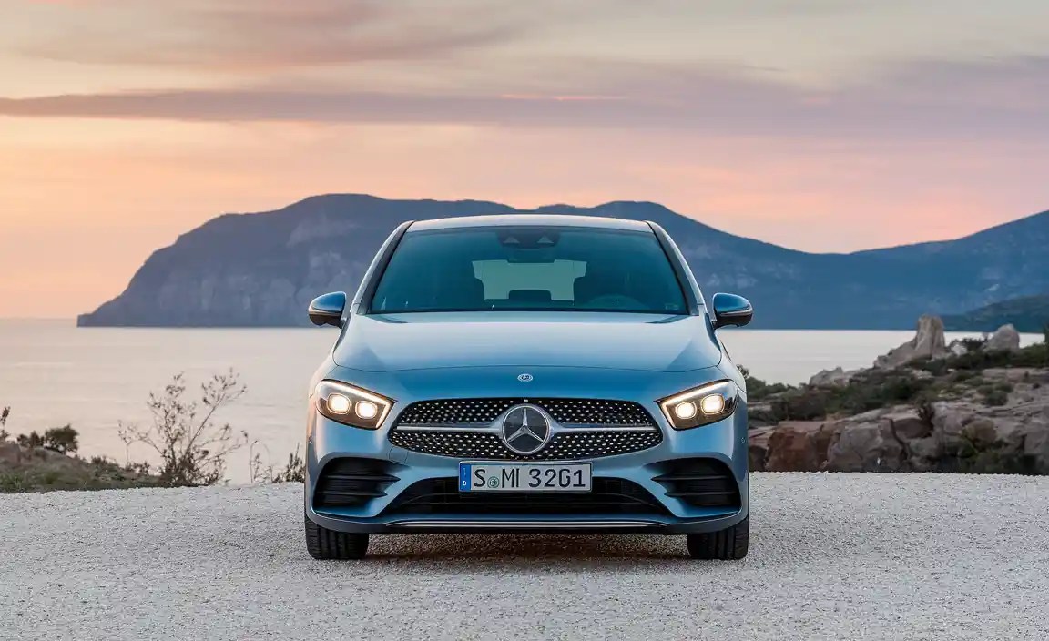 Factors to Consider When Choosing Your B-Class Exterior Color