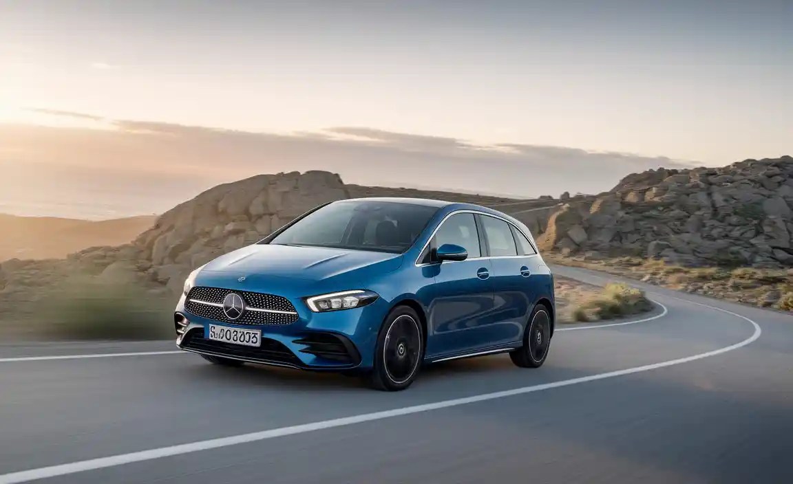 Key Evolutionary Milestones of the B-Class