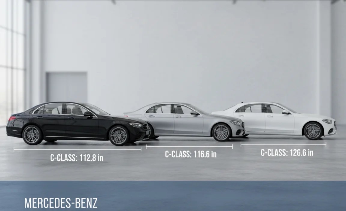 Comparing Wheelbases: Model vs. Model