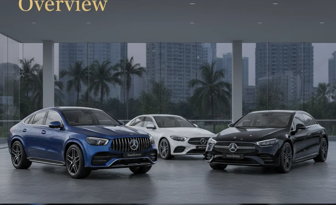 Detailed Model Overview