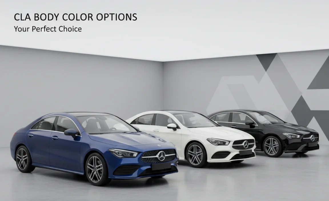 Understanding CLA Paint Options: A Primer