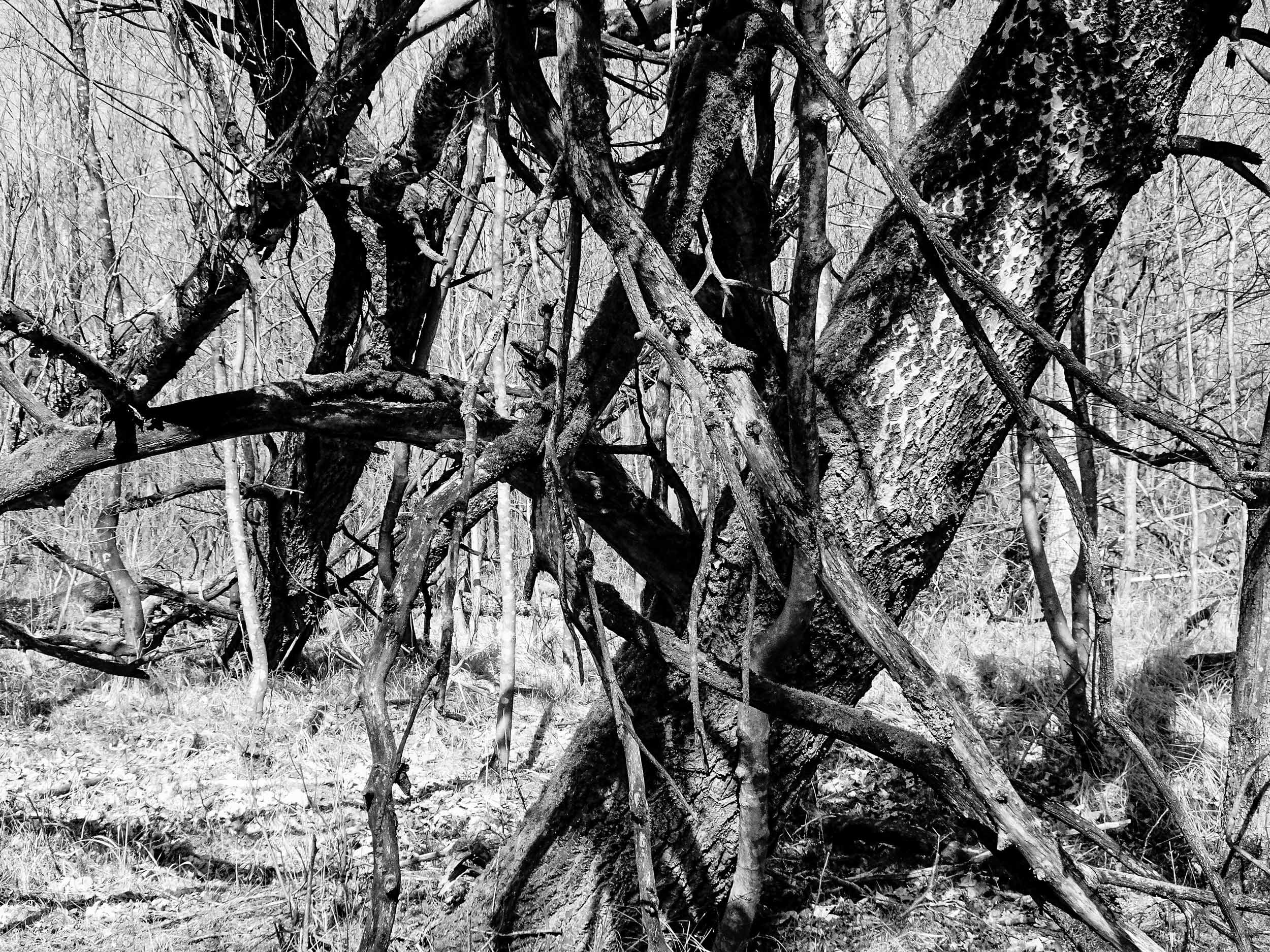 André de Jong To See Seeing (2024) The Merchant House