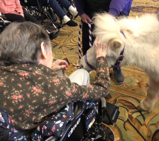 A Return Visit to the Beautiful Smith Village in Beverly Merciful Minis