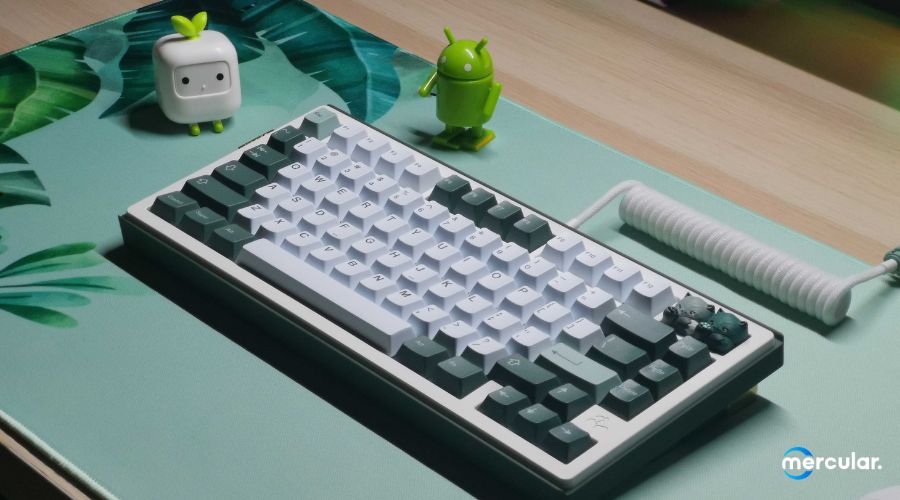 คีย์บอร์ดเกมมิ่งกับ Custom Keyboard แตกต่างกันอย่างไร