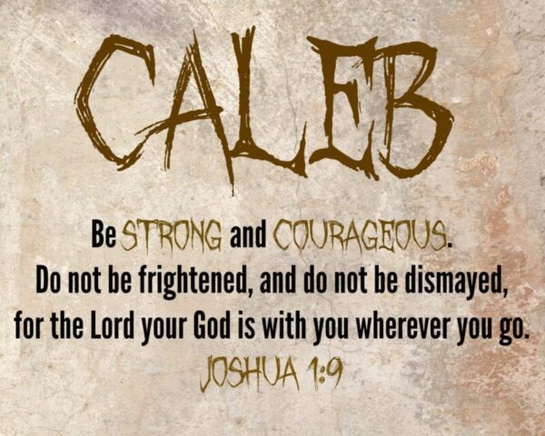 Scripture Gift for Your Child