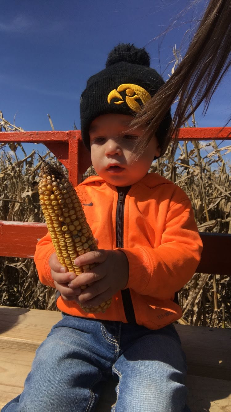 Autumn Acres 2018