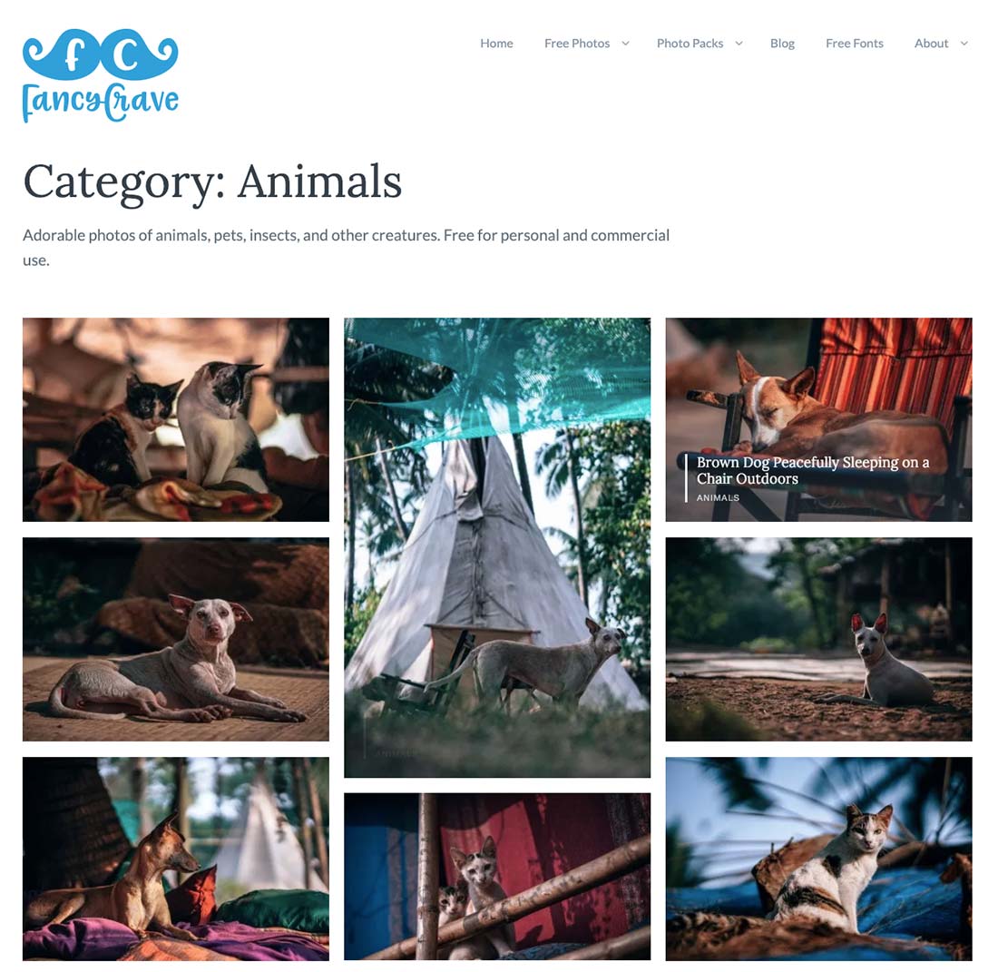 7 Top Free Public Domain Images for sites Commercial Use Merehead