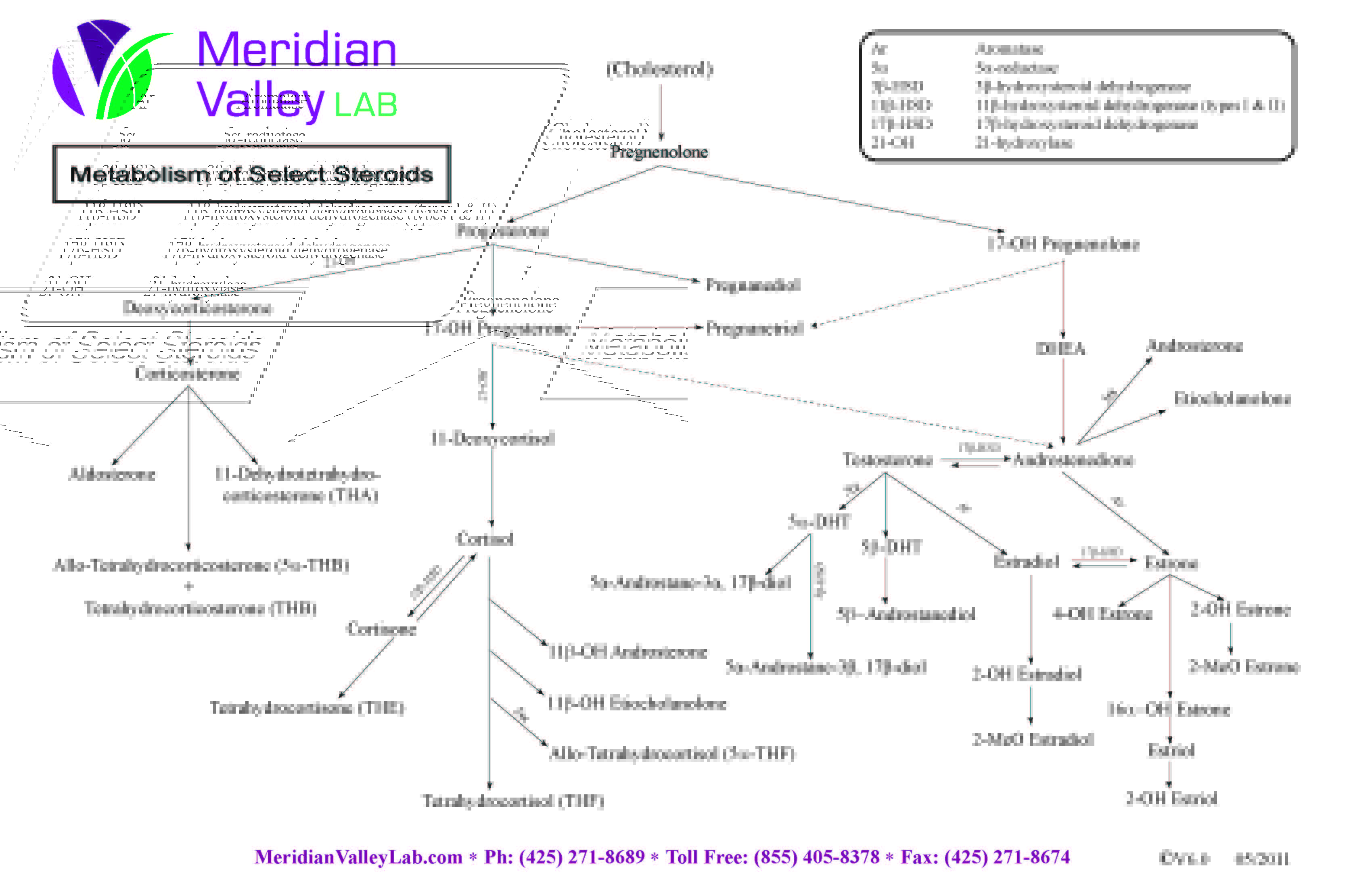 Hyperplasia Of Prostate
