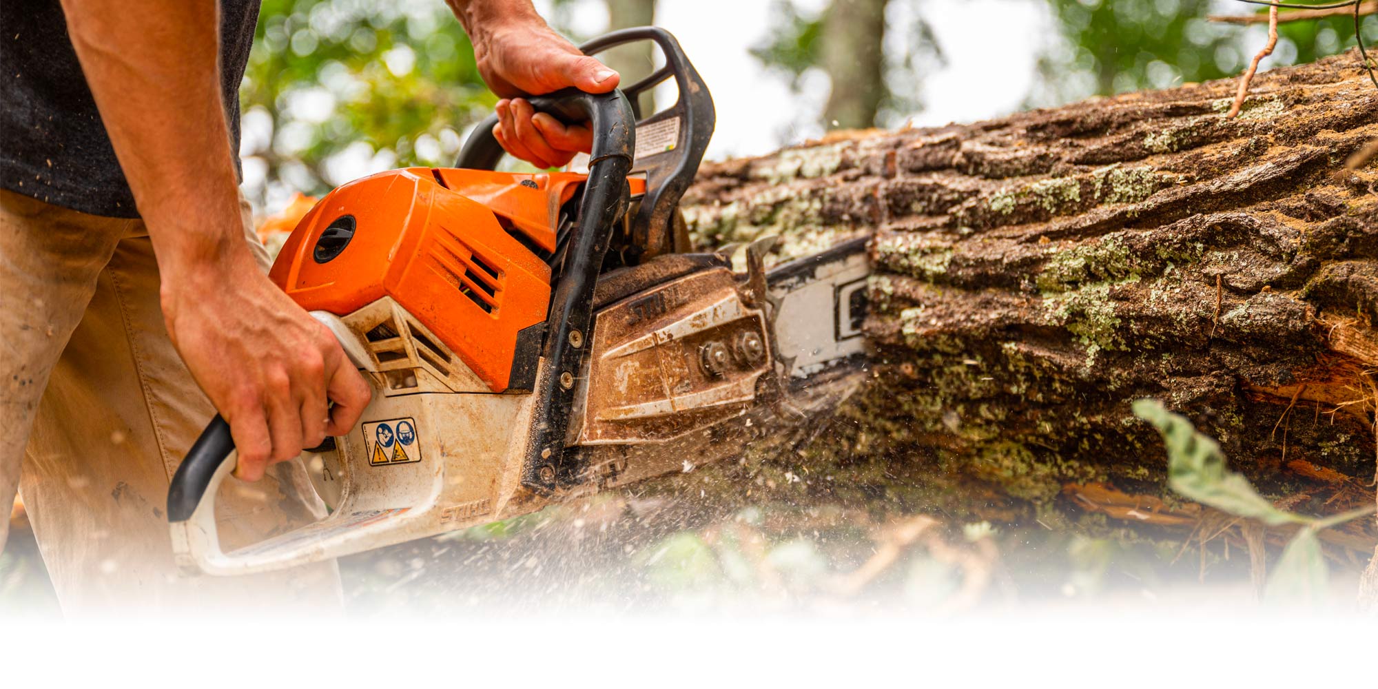 Land Clearing and Excavation Services Anderson Greenville SC