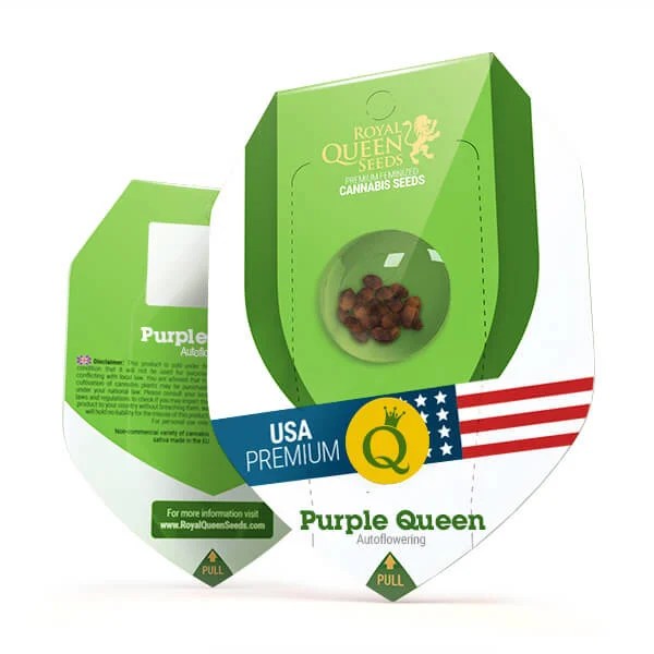 Purple Queen (U.S.A.) [AUTO] x3 Unidades ROYAL QUEEN SEEDS MerlinSeeds