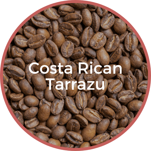 Costa Rican Tarrazu Merlin's Coffee
