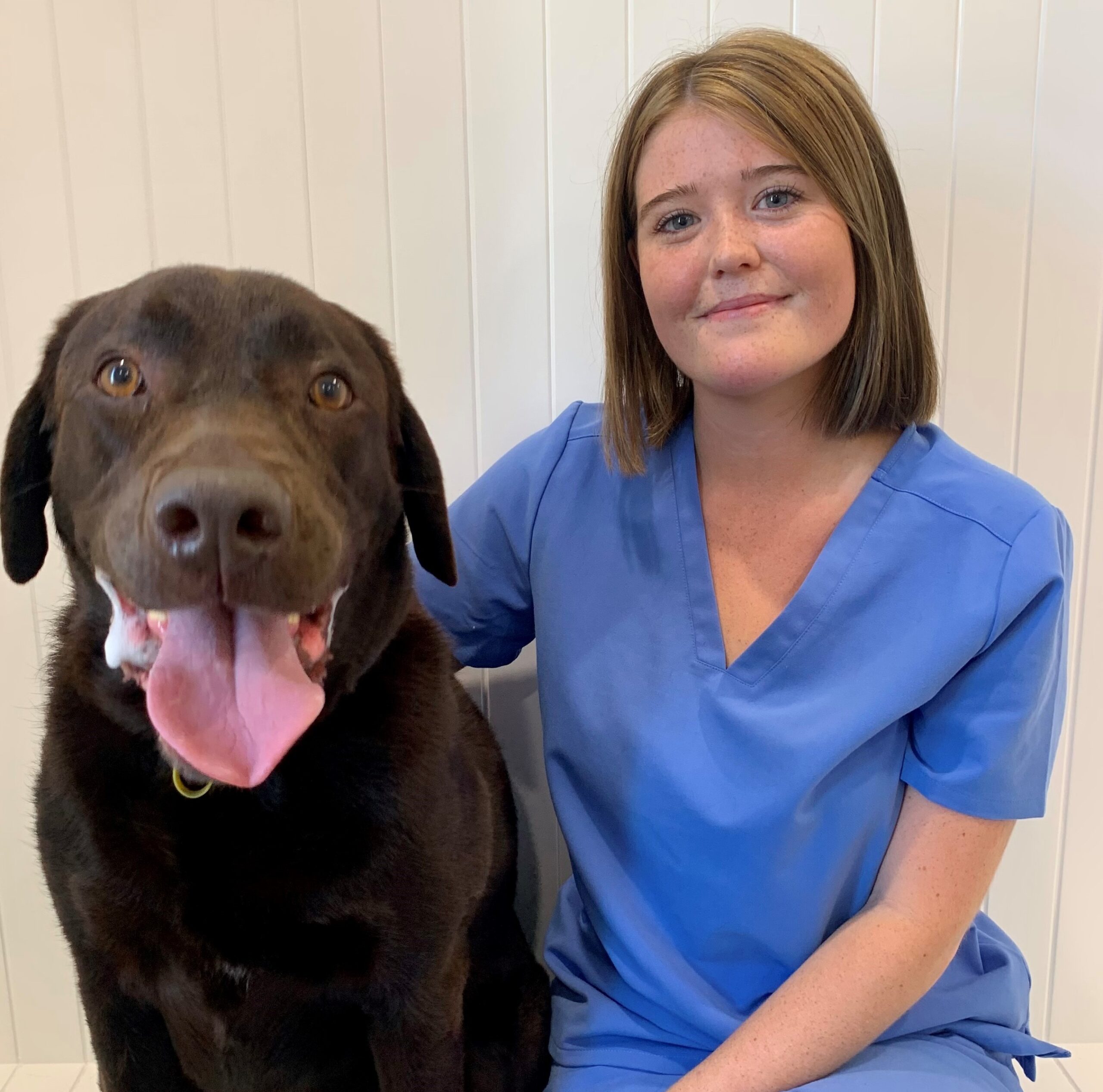 Mackenzie Mermaid Vet