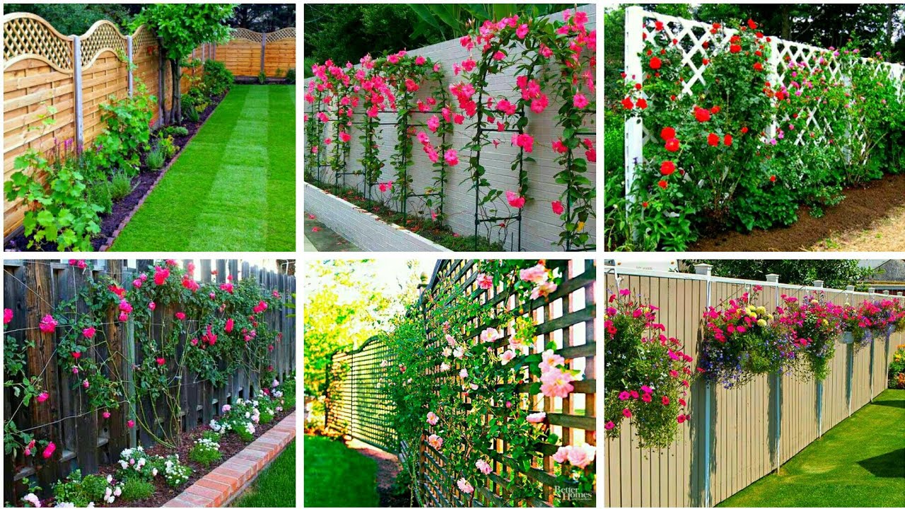 50 Fence line landscaping ideas Garden fence ideas Garden fence
