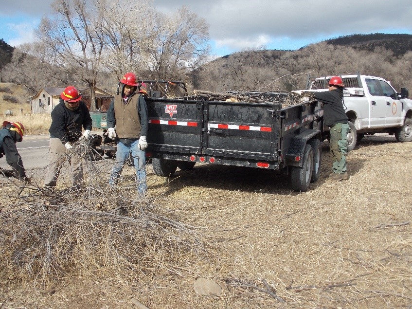 Update on the Siberian Elm Treatment Official site of the