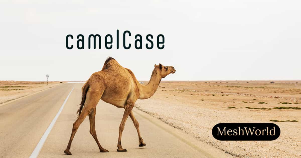 How to convert string to `camelCase` in Laravel MeshWorld