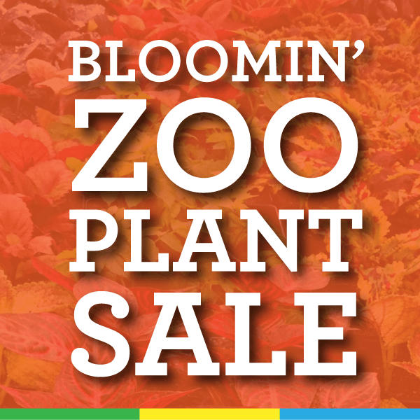 Bloomin' Zoo Plant Sale At Mesker Park Zoo