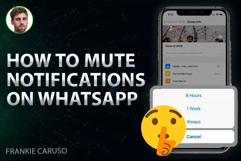 How to Mute Chats and Group Notifications on WhatsApp