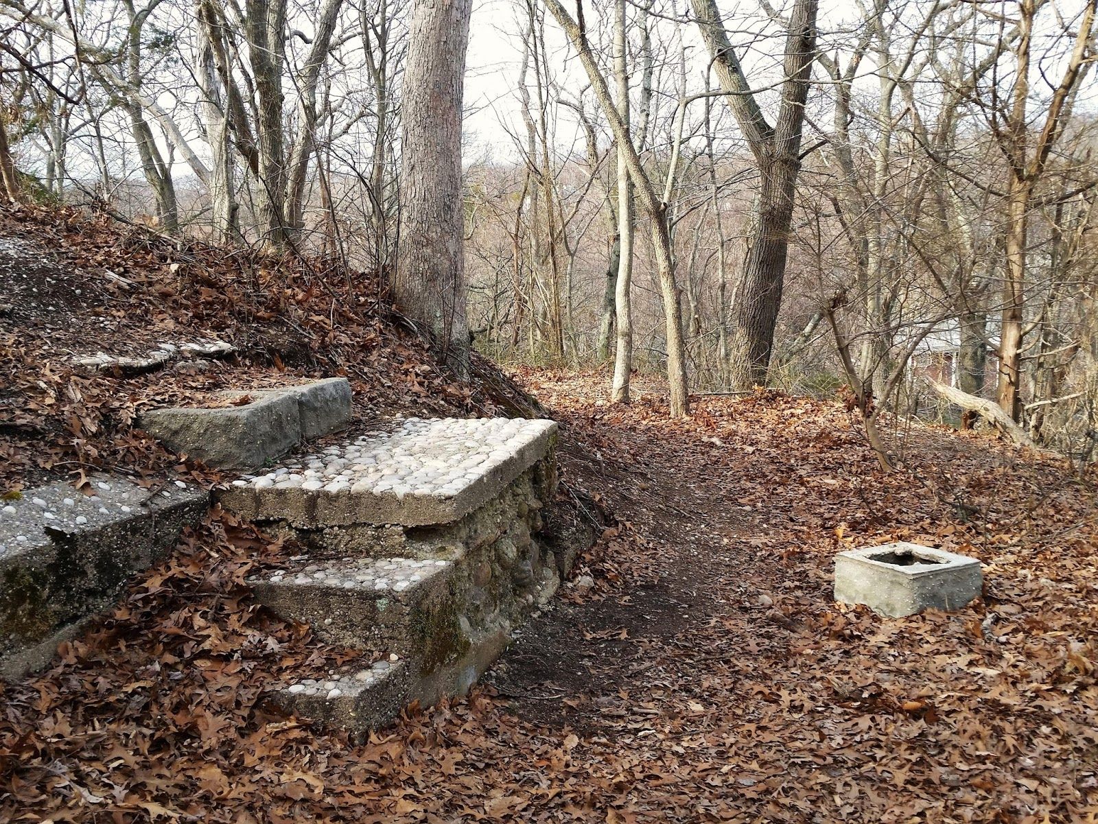 A Trail with a Past Visiting Mount Sinai’s Former Chandler Estate