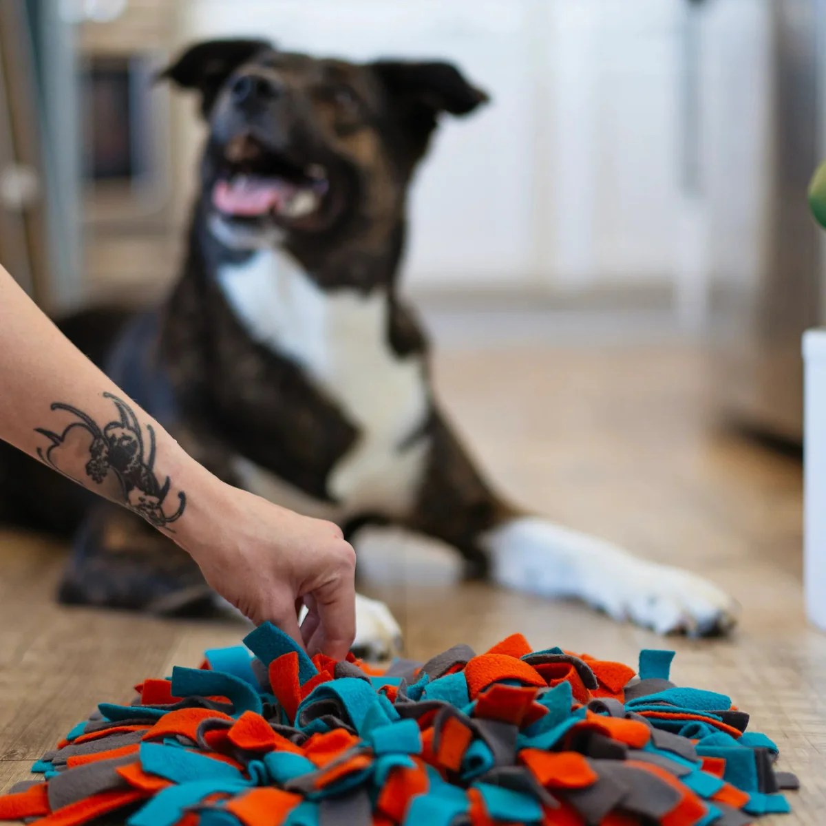 Round Forage Mat Snuffle Mat Enrichment Dog Feeder Messy Mutts