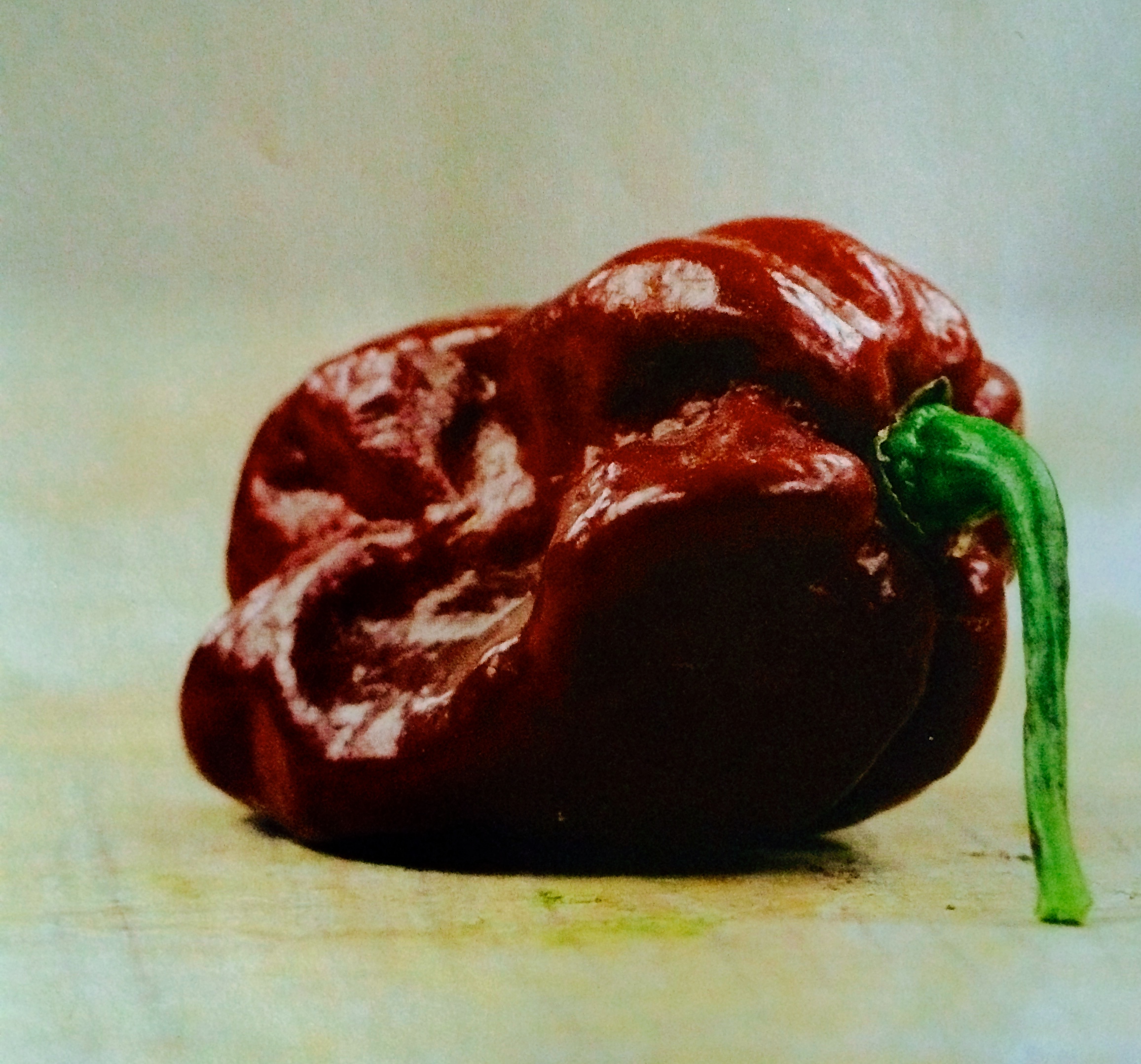 Habanero Chocolate MESUBIM