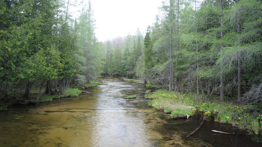 Backpacking The Jordan River Pathway, MI May 2014 Seeking Lost