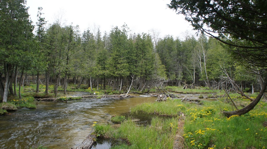 Jordan River Pathway Alchetron, The Free Social Encyclopedia