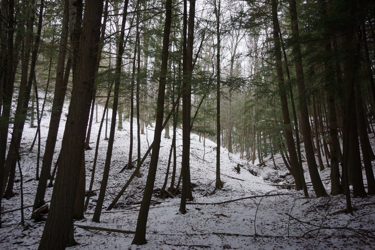 North Country Trail Section Hike Hwy 131 to Mesick, MI Dec 2015