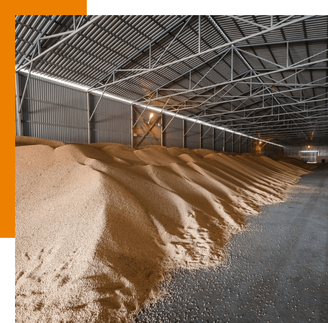 Efficient Grain Storage Warehouses MetalBuilding US