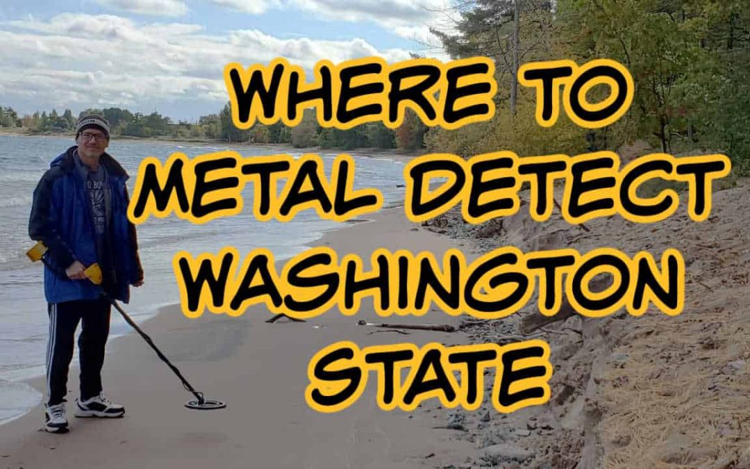 How To Know Where To Metal Detect at Elinor Henson blog