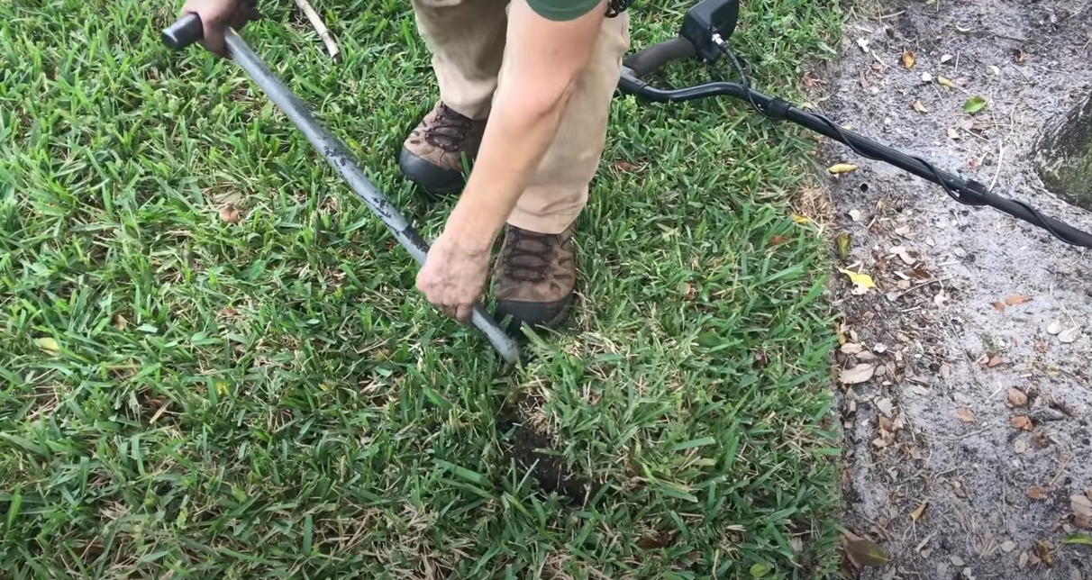 Metal Detecting in Florida Rules, Best Beaches, Popular Parks, and