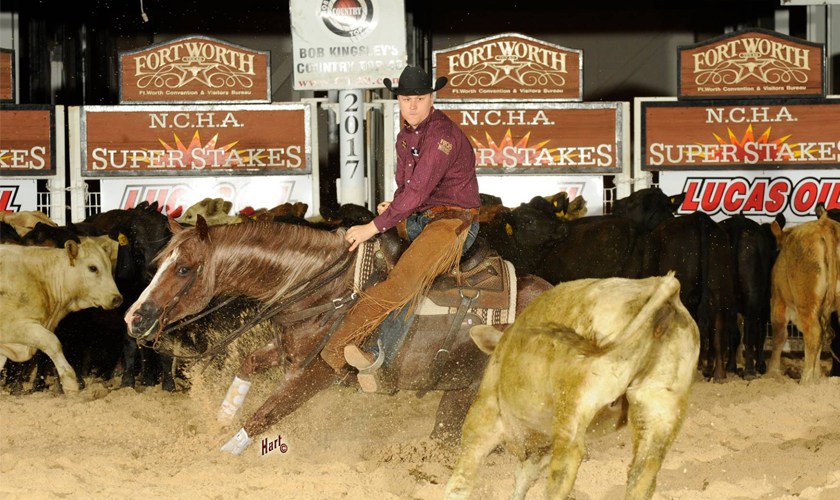 Metallic Rebel Unofficially Clinches NCHA Open Horse of the Year