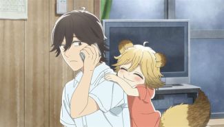 pocos udon world 7001