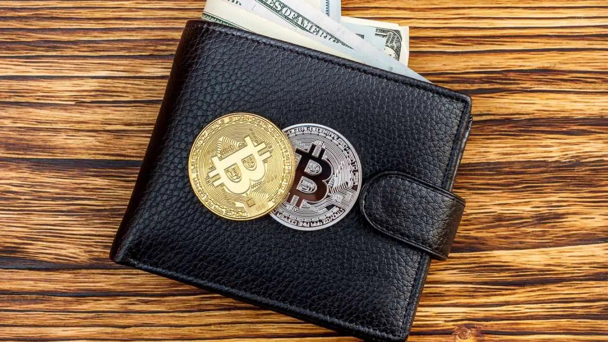 How To Secure Your Cryptocurrency Wallet?
