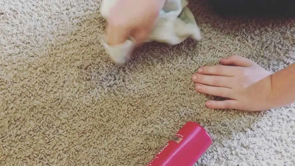How to Get Different Stains Out of the Carpet