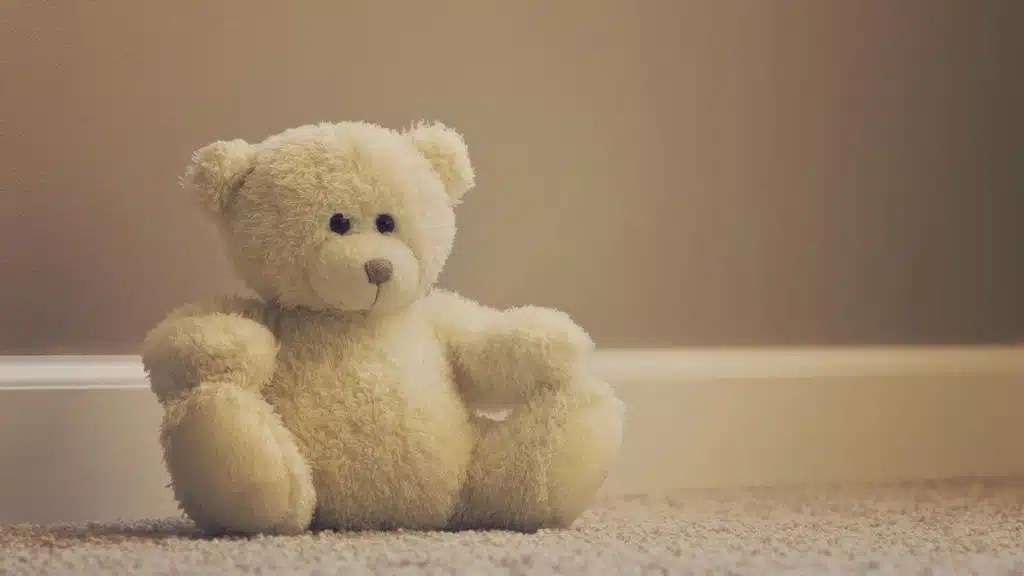 Why Were Teddy Bear Invented TikTok From Brown to Blue