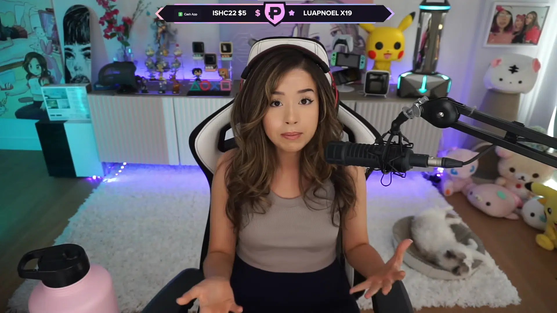 Pokimane Leak Statistics Reveal Pokimane's Streaming Power