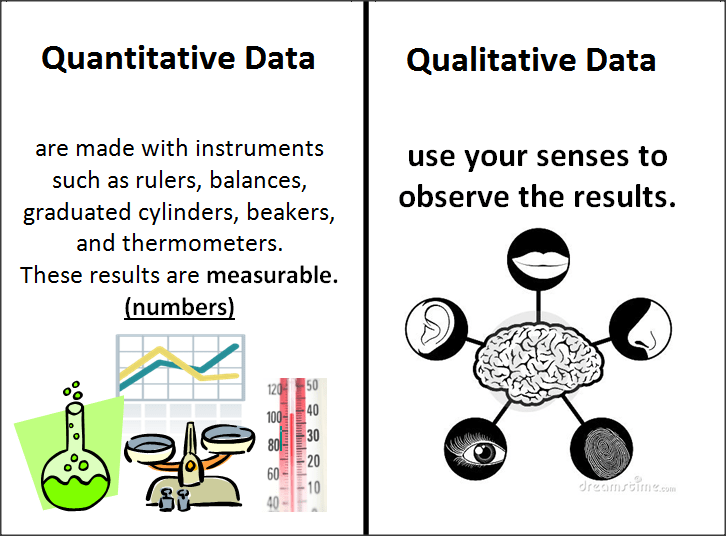 Qualitative vs. Quantitative Data (7) MetaReflection NG