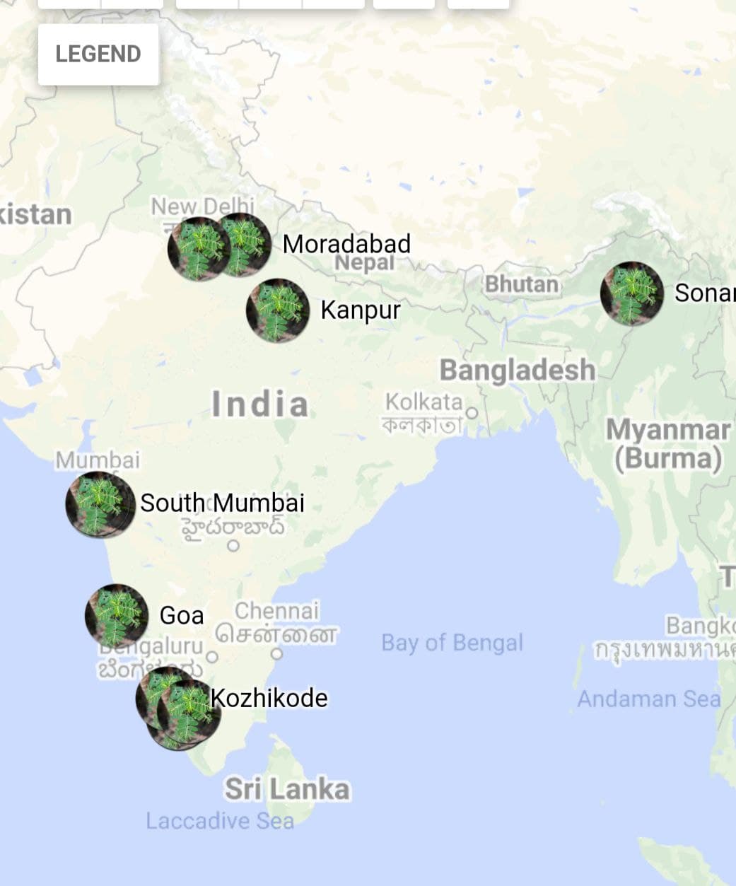 Do Plants sleep AT Night? CUBE ChatShaala