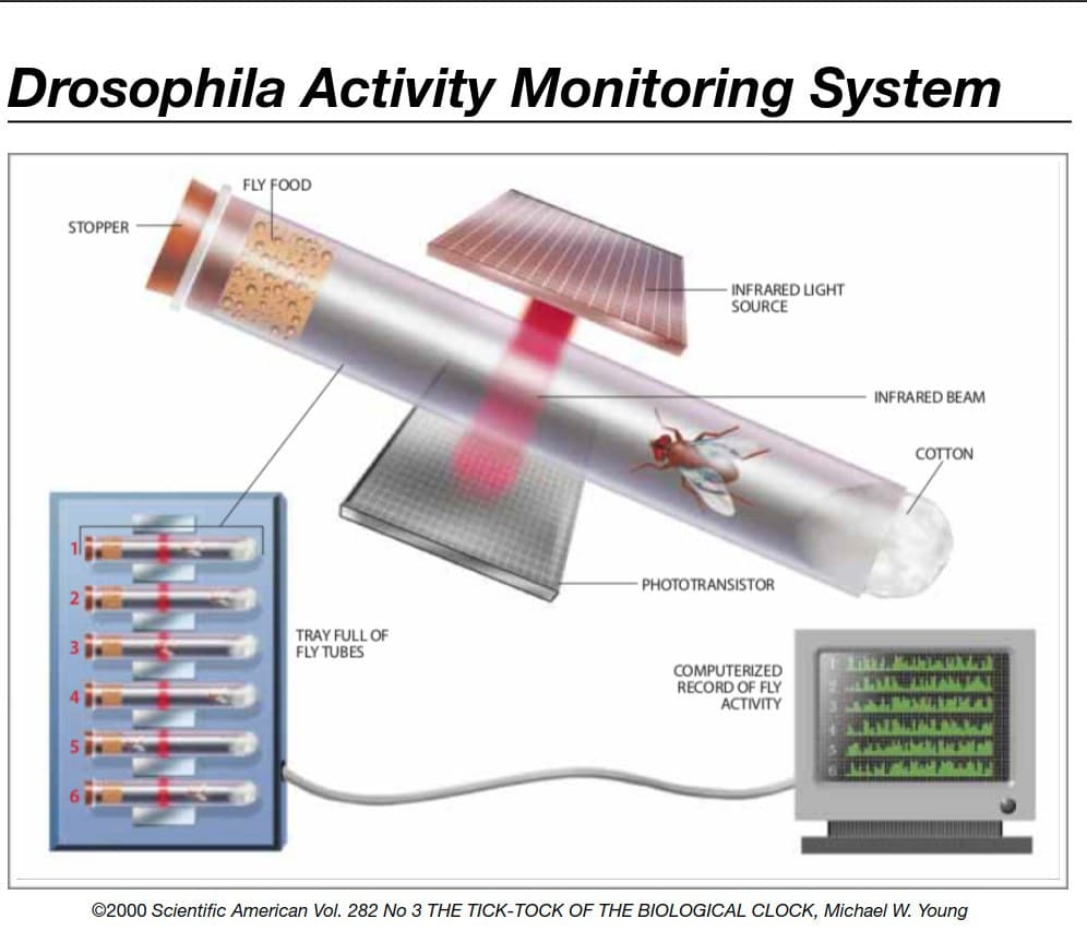 How to design DesiHome Lab style Drosophila Monitoring System using Infrared light? STEM Chat