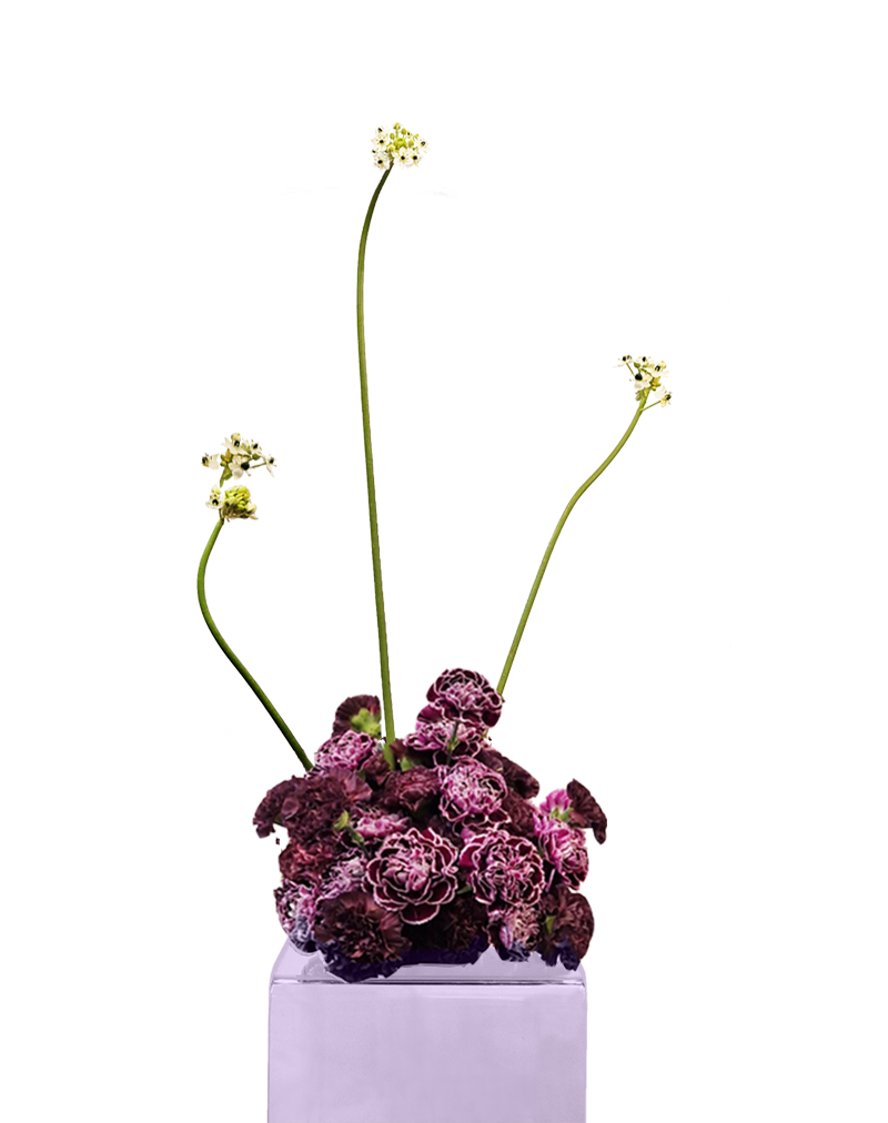 Comprar Composición claveles M en Madrid Metatopy