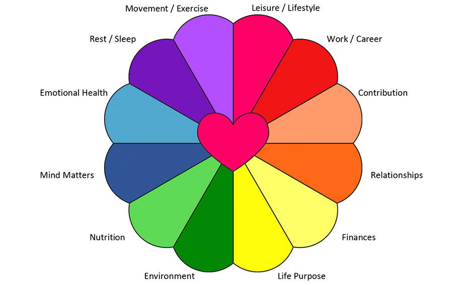 Wheel of Life Exercise MetaWellBeing