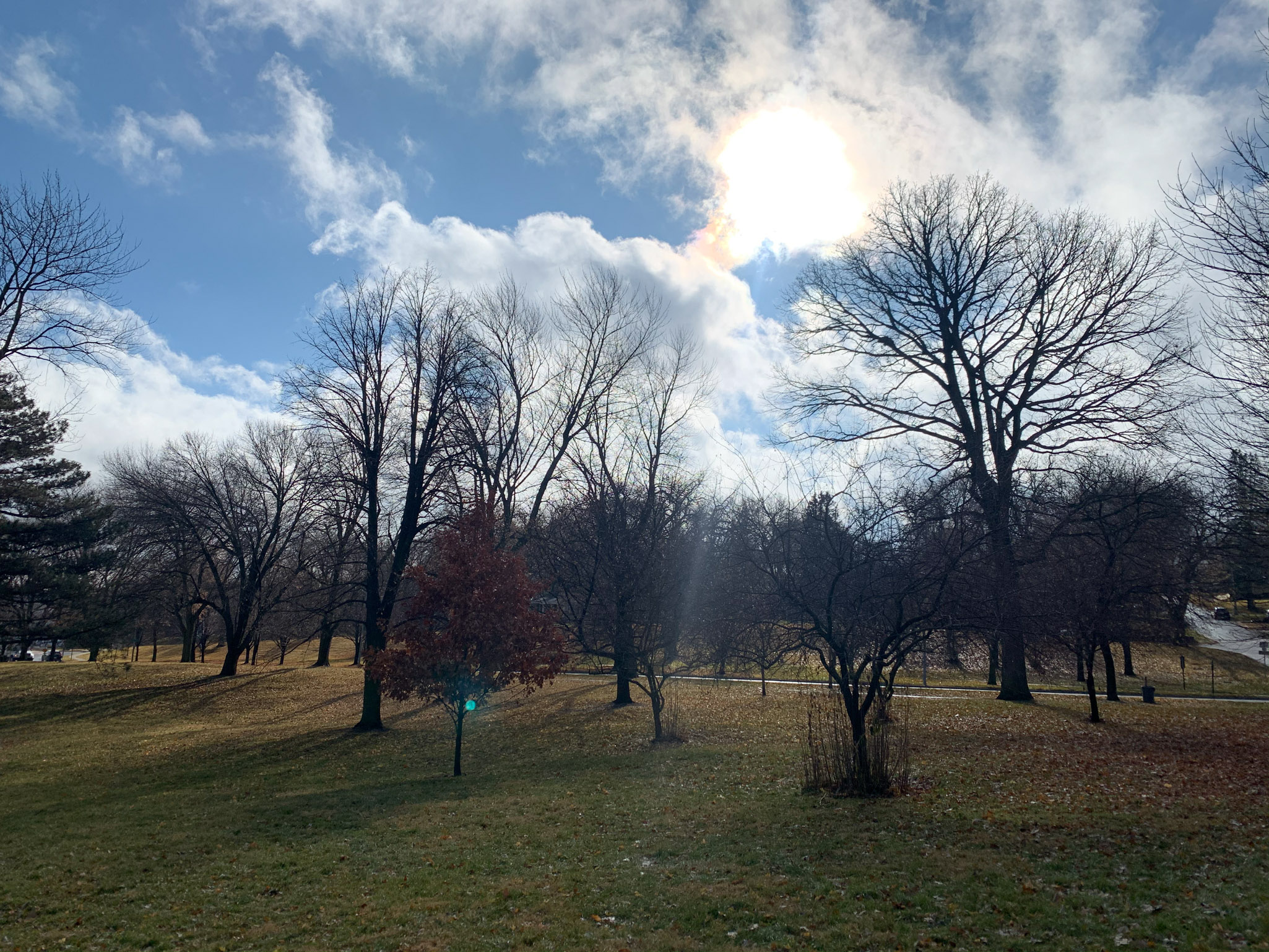 metcalfeharrison neighborhood metcalfeharrison neighborhood