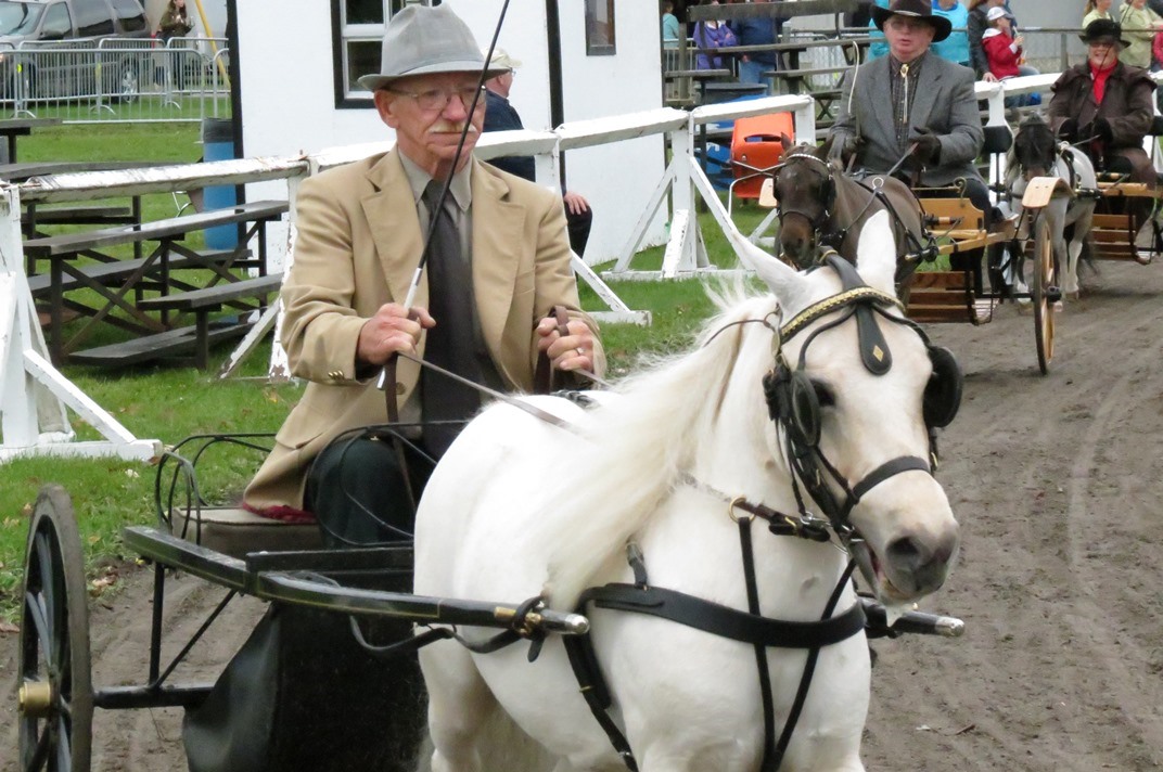 2014 Photo Gallery Metcalfe Fair