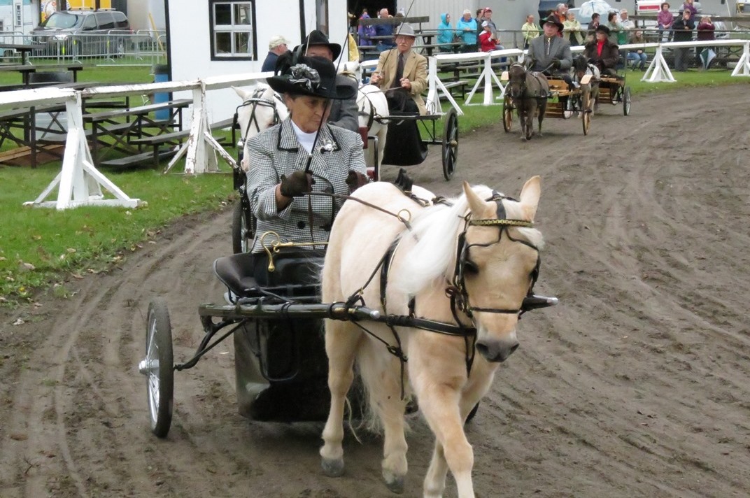 2014 Photo Gallery Metcalfe Fair