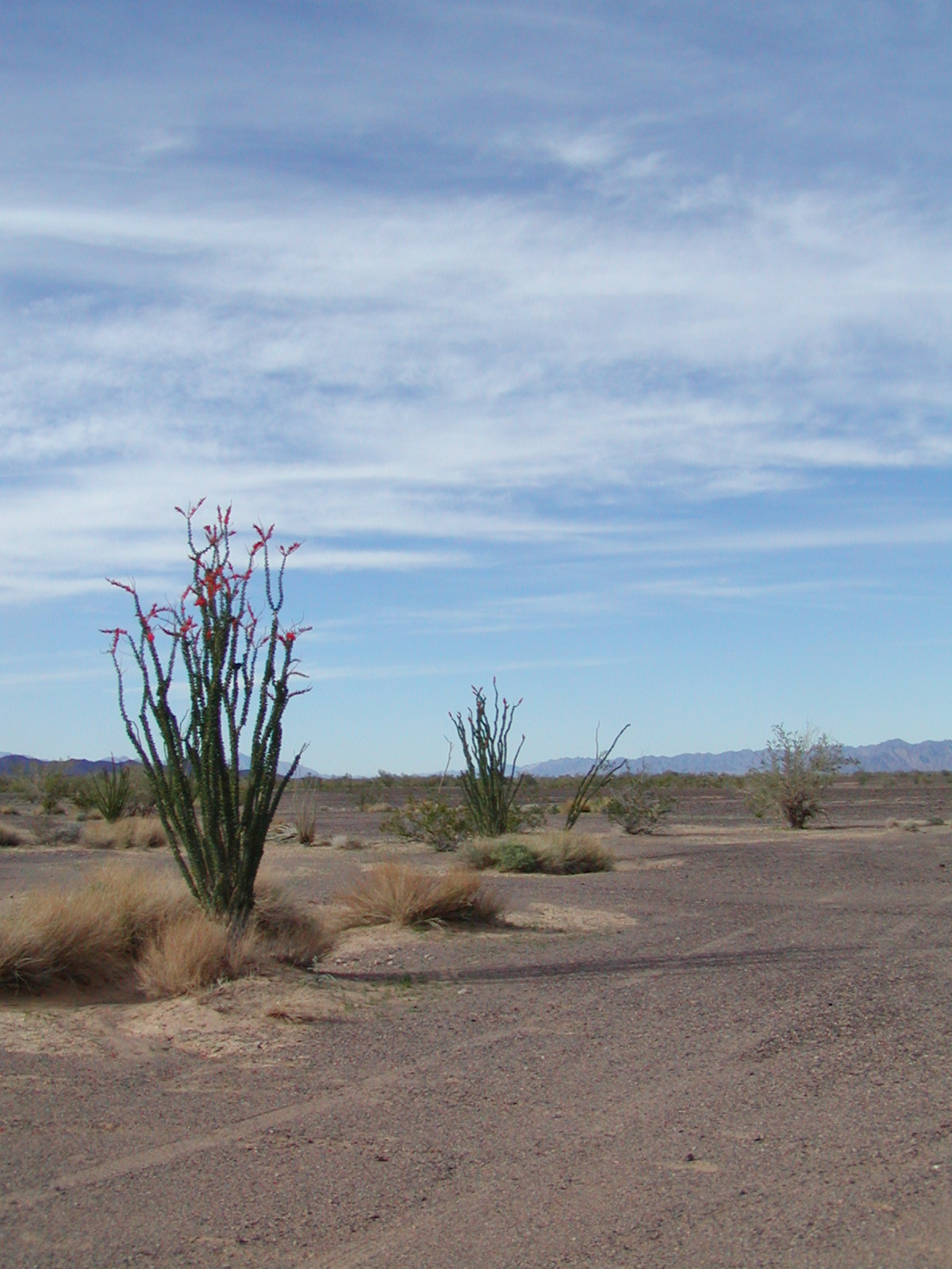 Meteorite Gallery, Photos, Information, Hunting, Research, Preservation