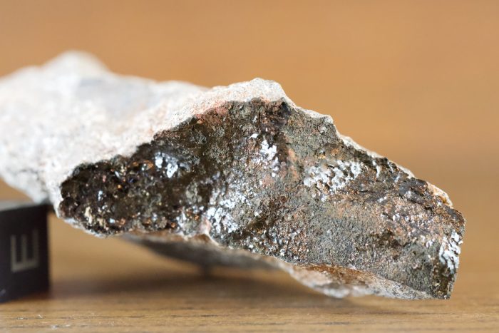 Meteorite Gallery, Photos, Information, Hunting, Research, Preservation