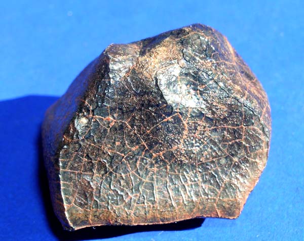 Michael Farmer Meteorites Sale Catalog
