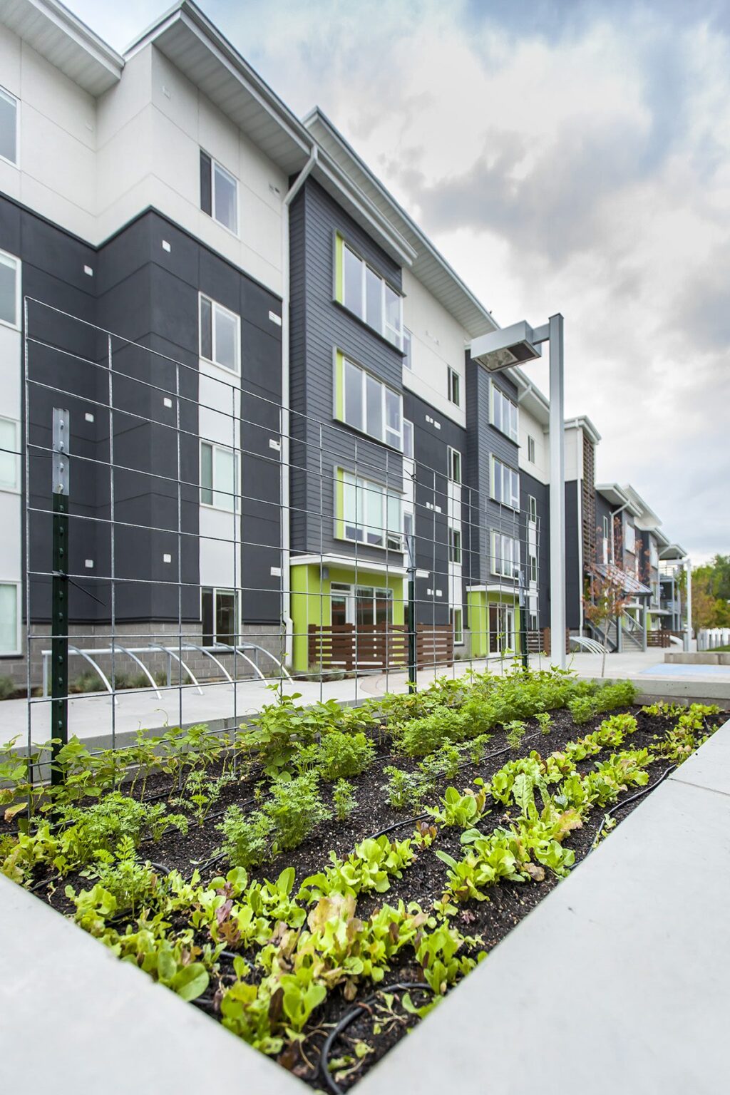 Blue Print for Better Bud Bailey Method Studio