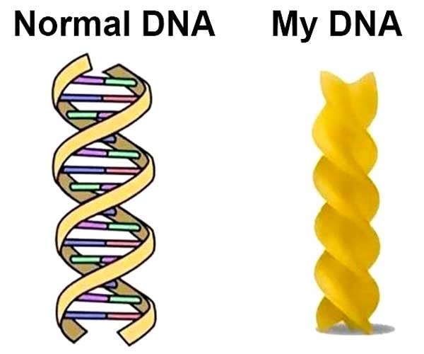 20 Funny DNA Jokes And Pick Up Lines... With Explanations