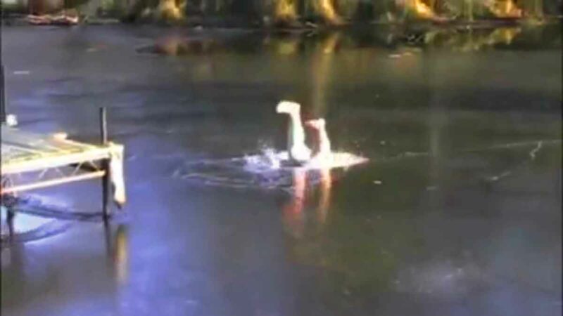 Hold My Beer While I Jump Through The Ice Of A Frozen Lake